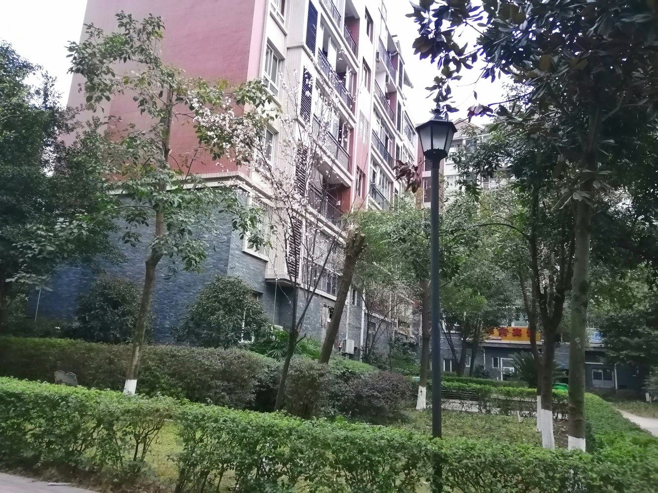 重庆阳光彩虹小白马公寓
