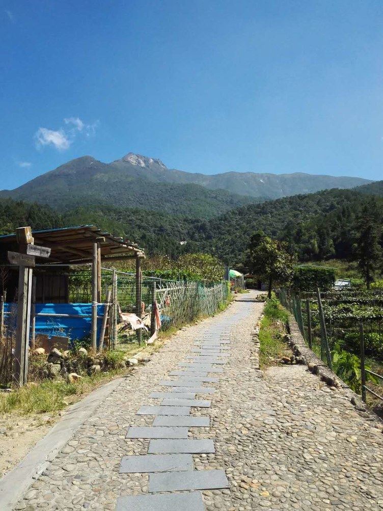 龙岩梁野山元庆客栈