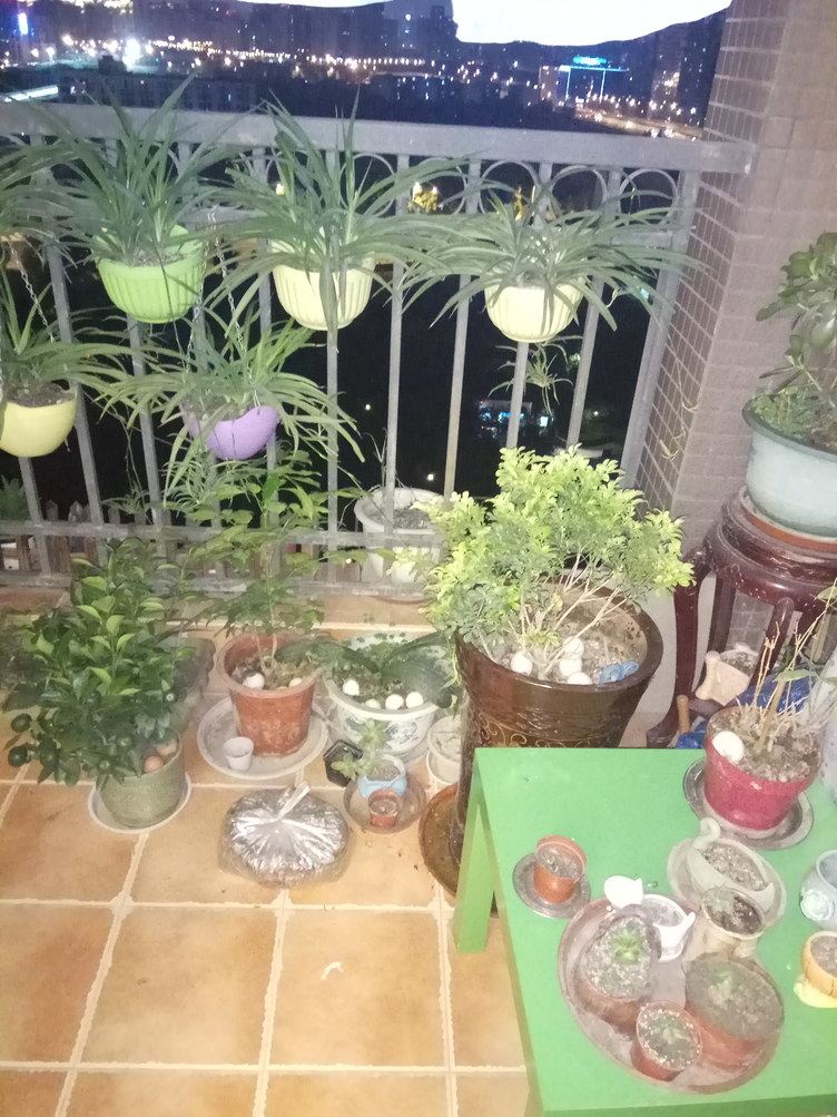 成都蜀色蜀香普通公寓