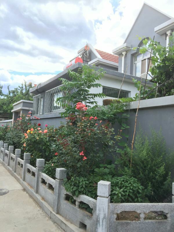 北京雪梅菊花客栈