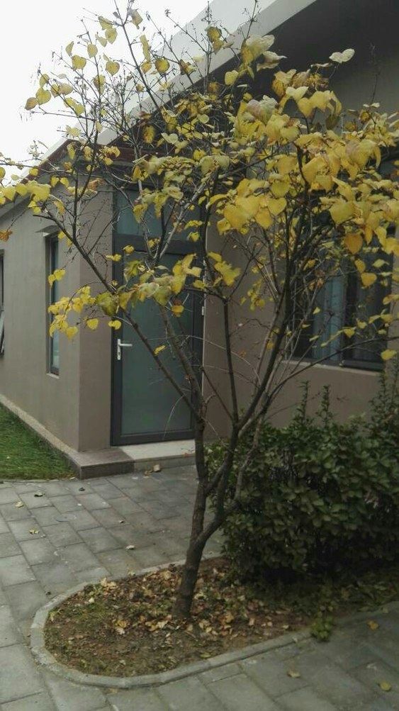 北京陈先生公寓(3号店)