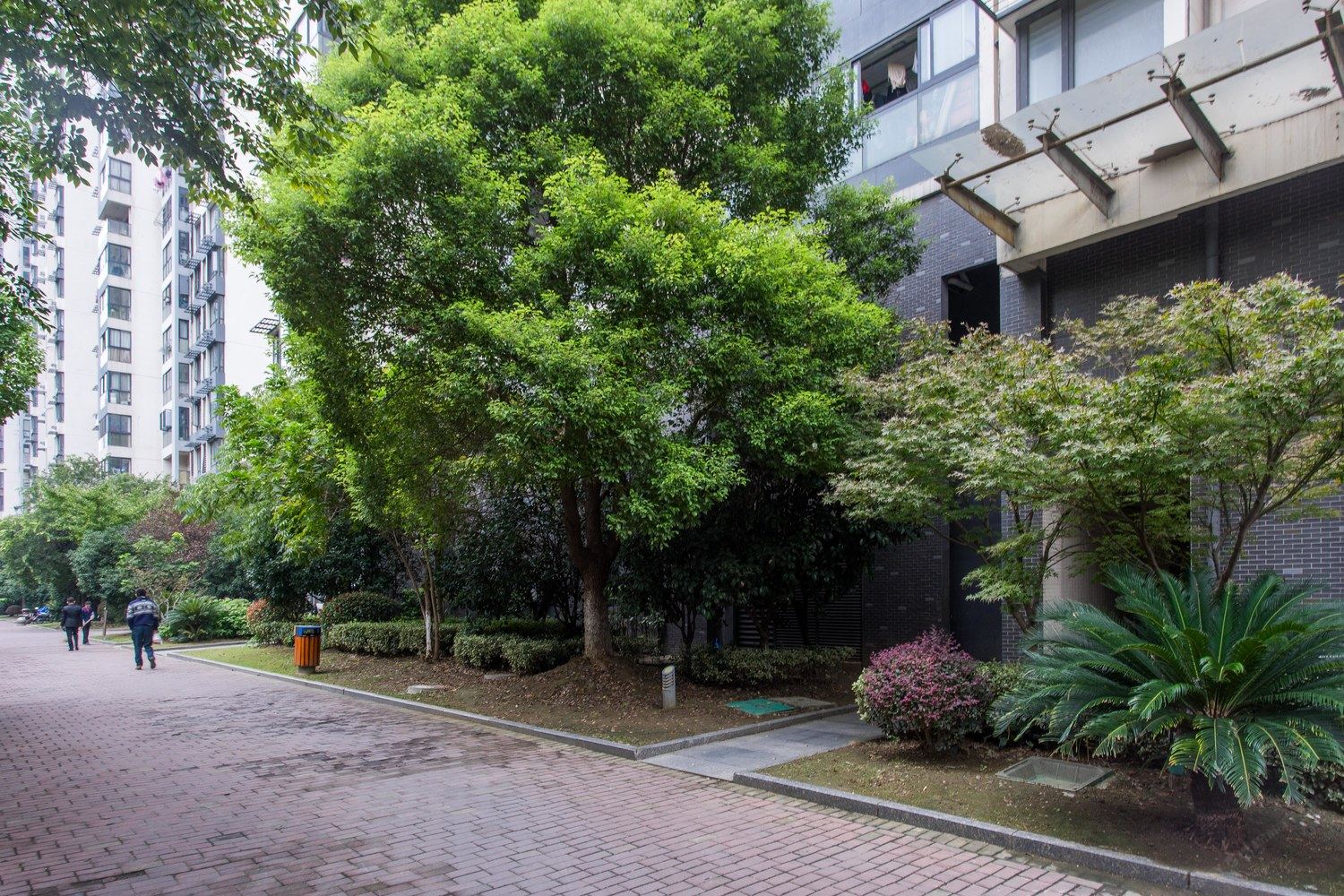 吾锡文化普通公寓(无锡梁溪路店)