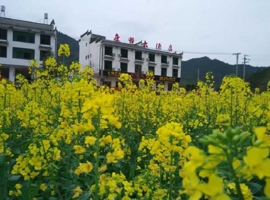 婺源康悦大酒店