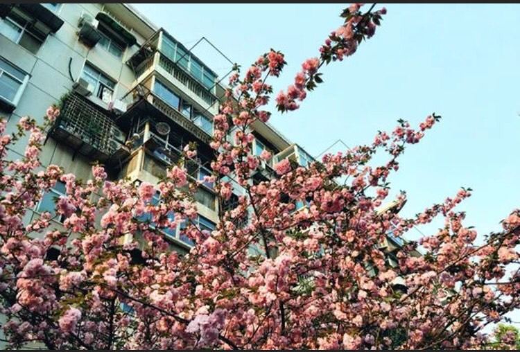 鑫园宾馆(武汉鲁磨路店)