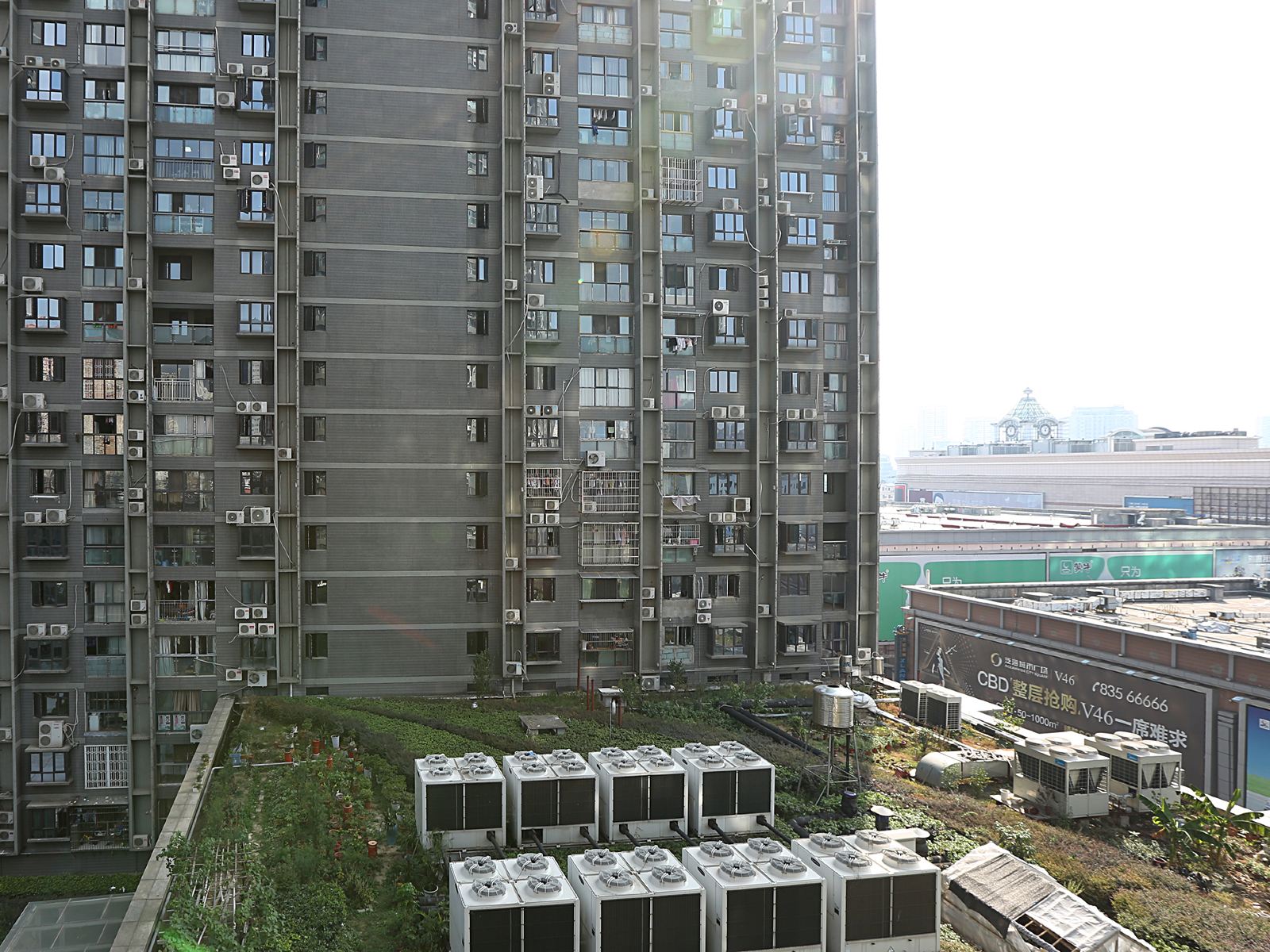 武汉一棵树公寓(江汉路店)