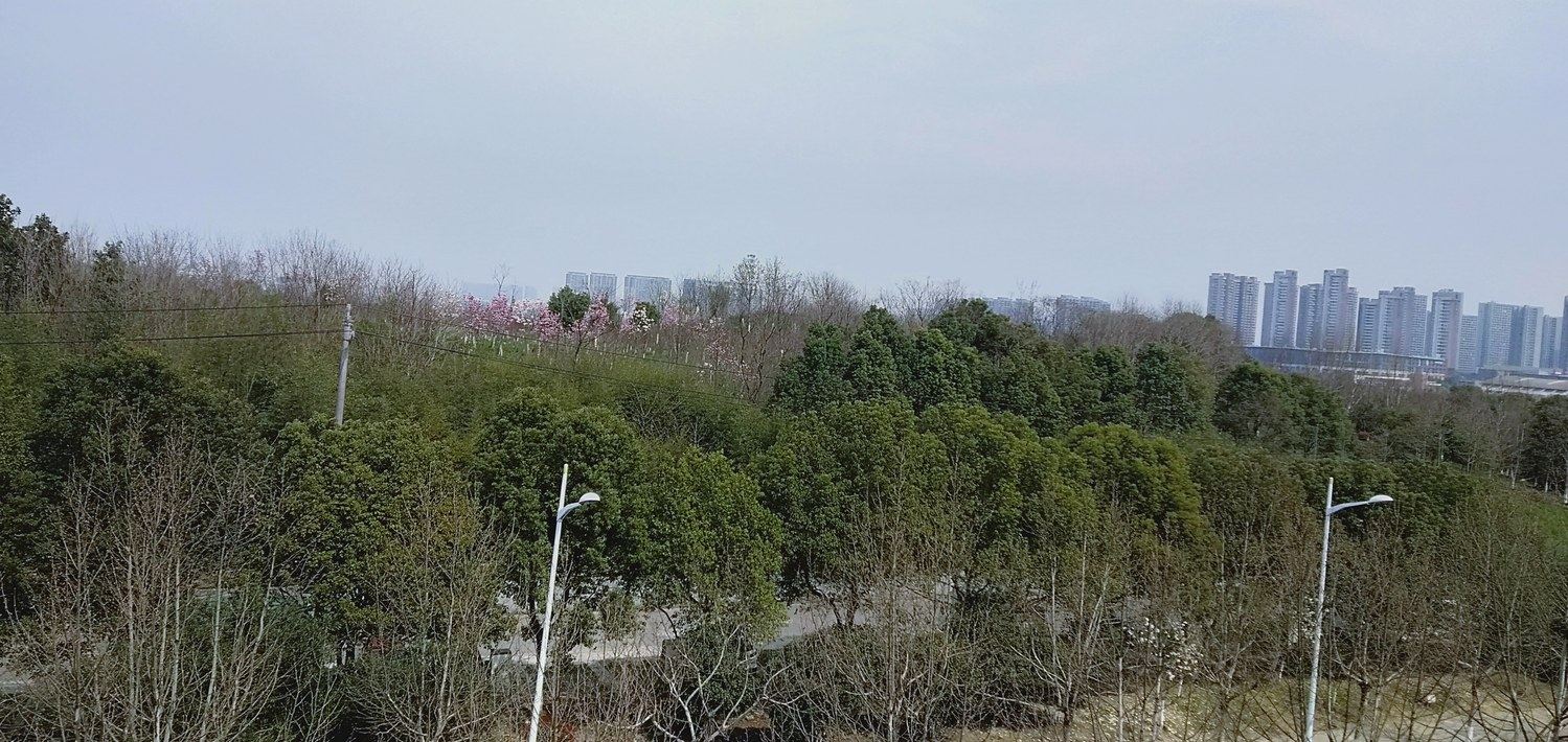 南京板桥莲花湖特色民宿
