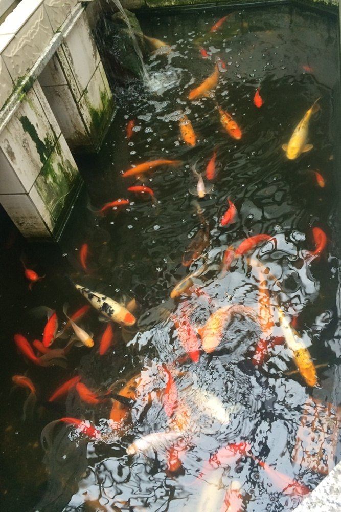 上海龙吴旅馆