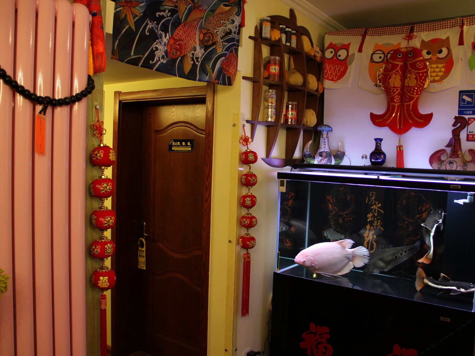 西宁合祈文化旅游驴亲鱼休息营地