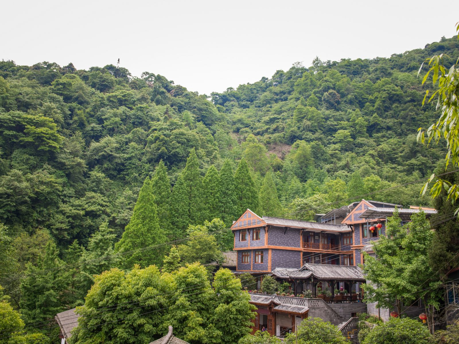青城山华盟·观山舍民宿