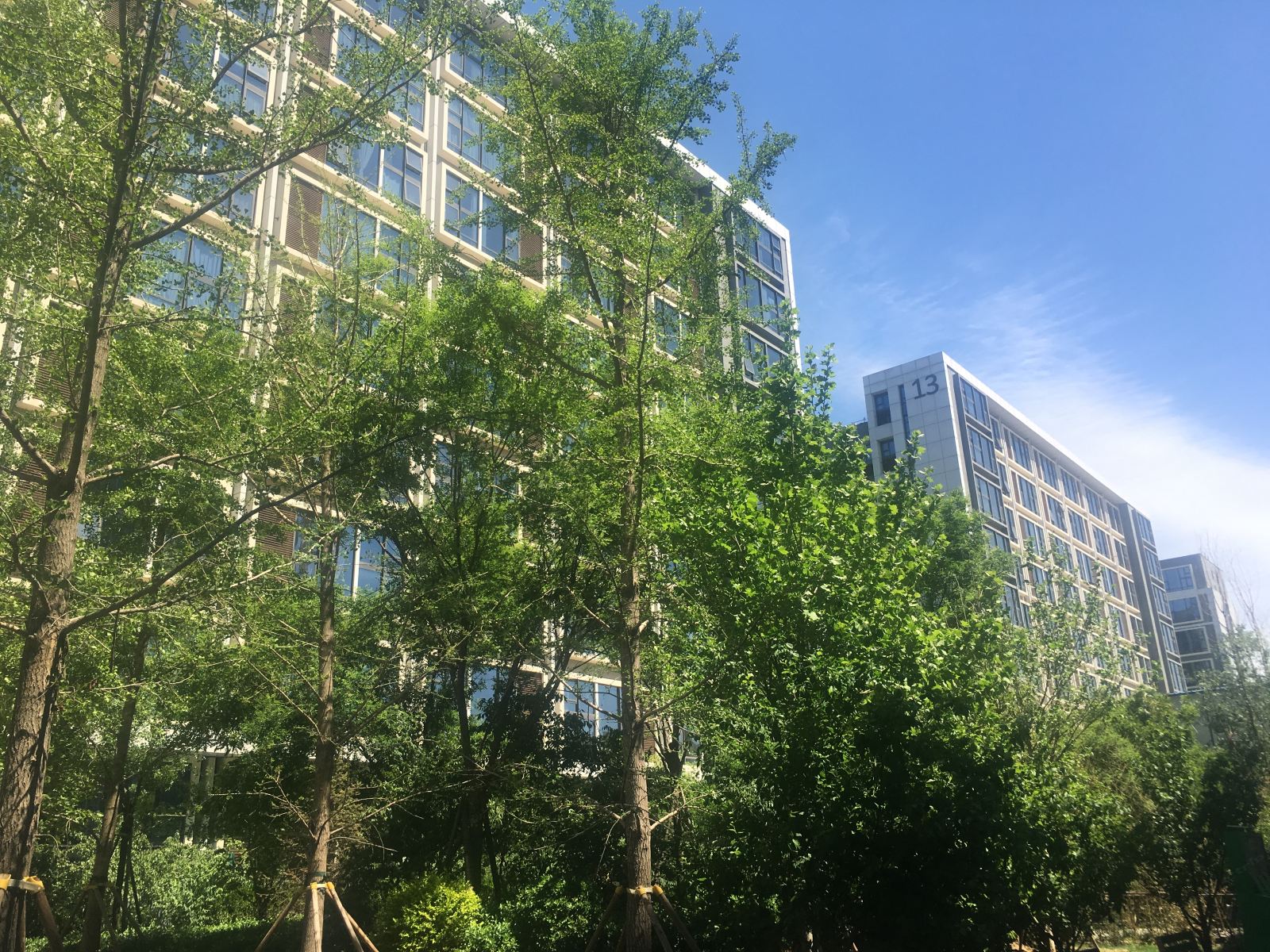 OneDay公寓(北京新国展店)