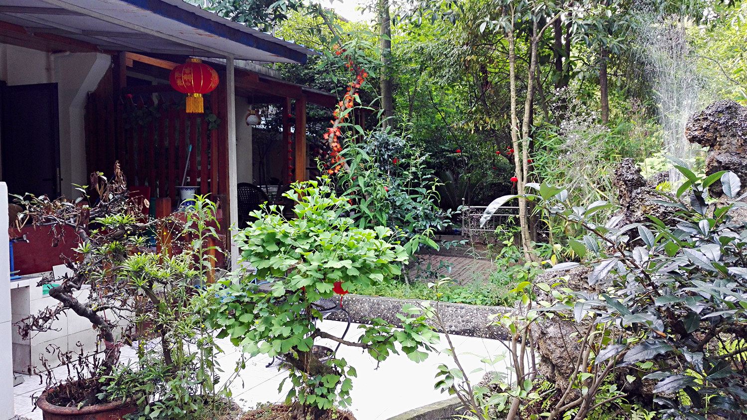 成都青城山沉浸式休闲小别墅