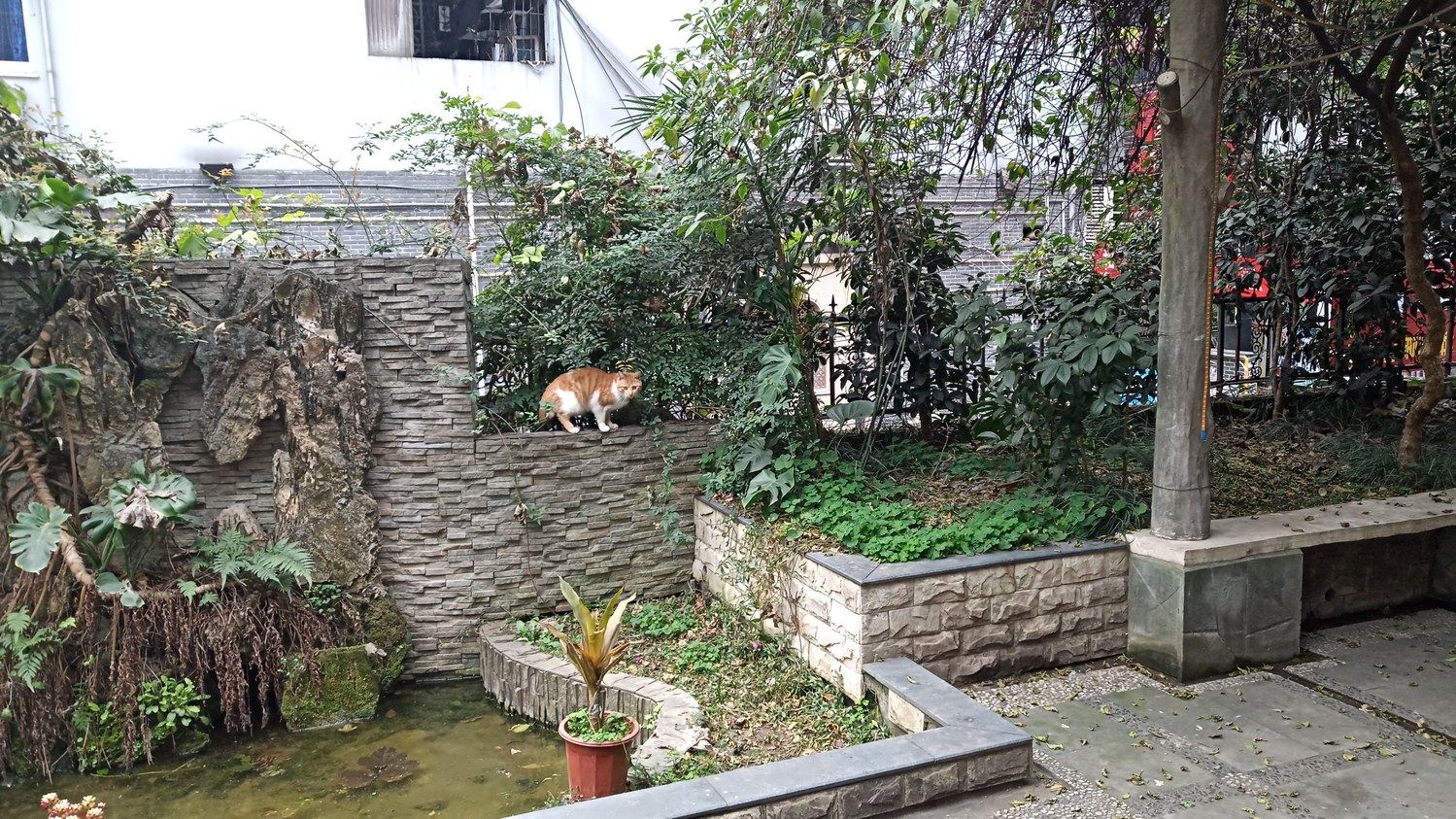 重庆燕群超大花园(都都民宿)(27号店)