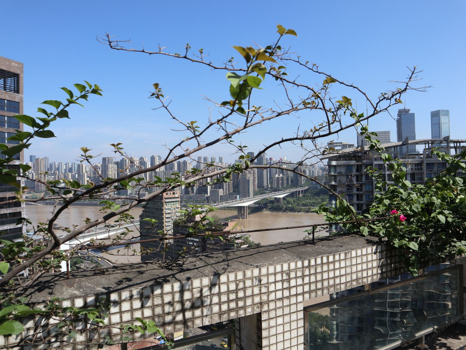 重庆解放碑艾简屋顶空中花园太空舱青年公寓
