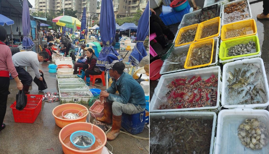 深圳渔人码头公寓