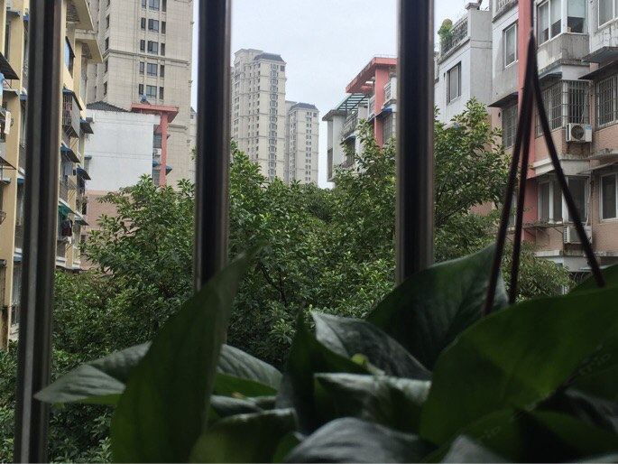 宁波刘女士公寓(12号店)
