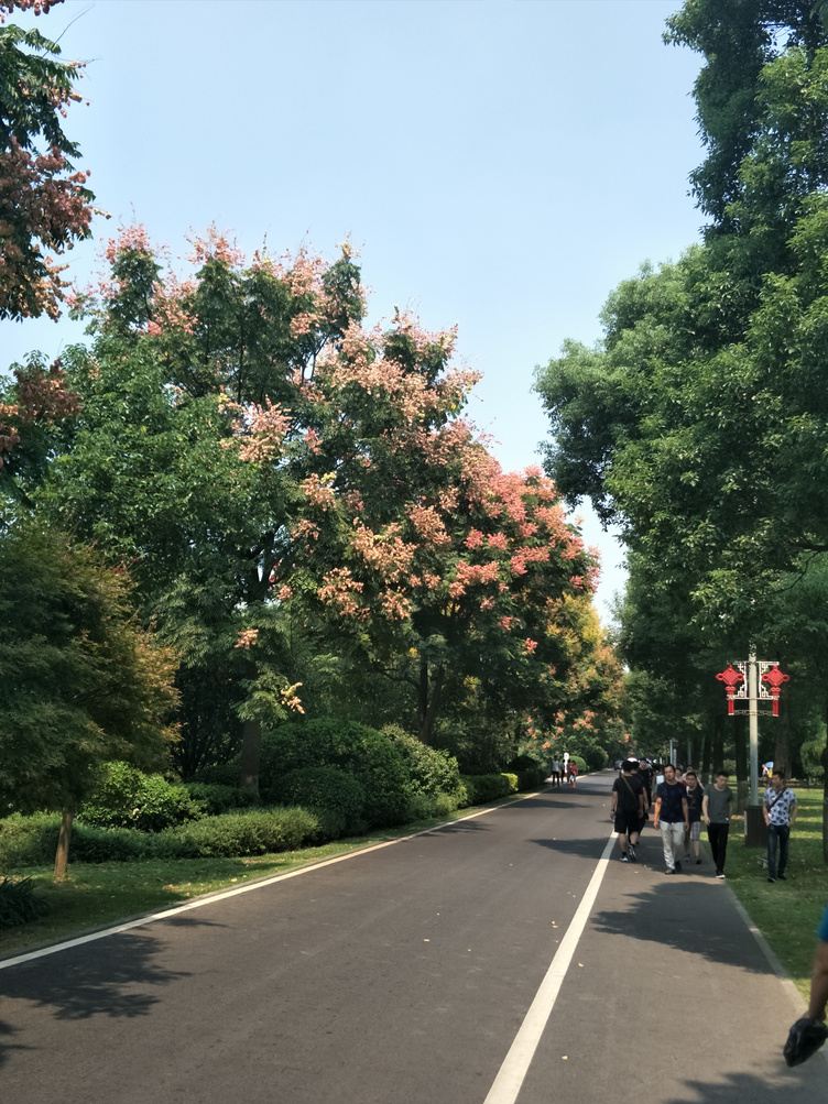 荣成石头蛋蛋公寓