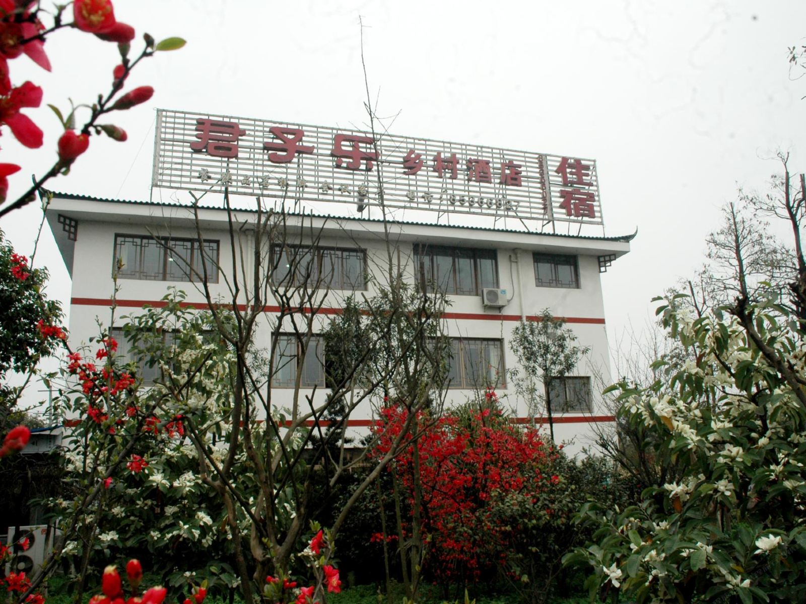 成都君子乐酒店