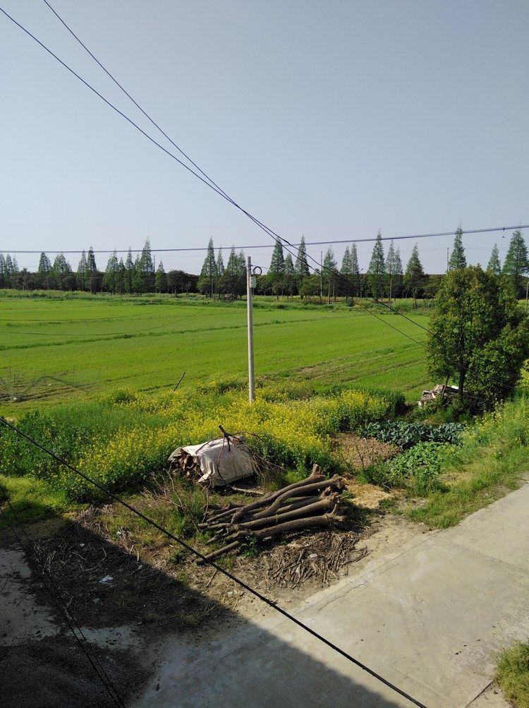 周庄郑银华客栈