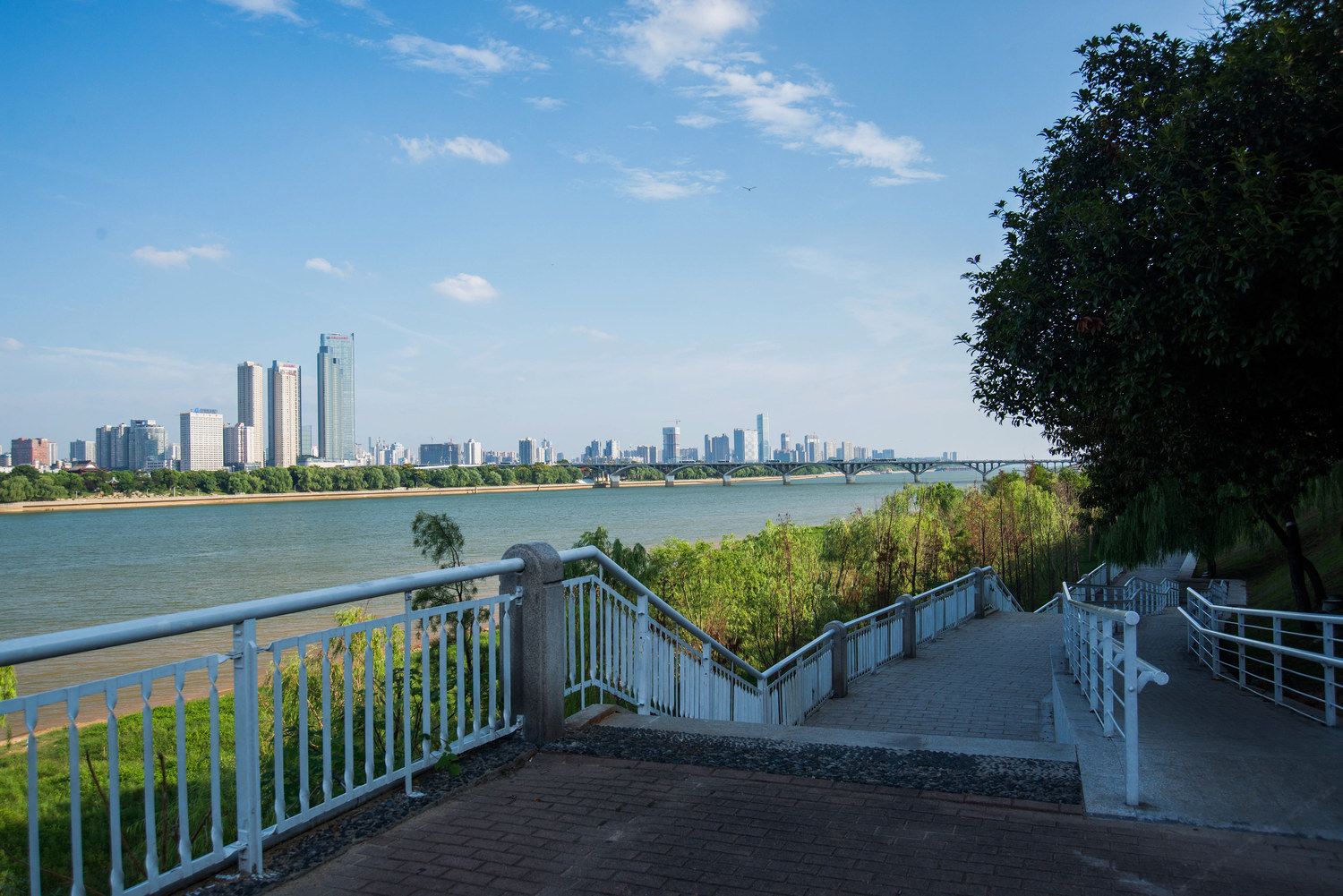 长沙茶艺师摄影师夫妇的家普通公寓
