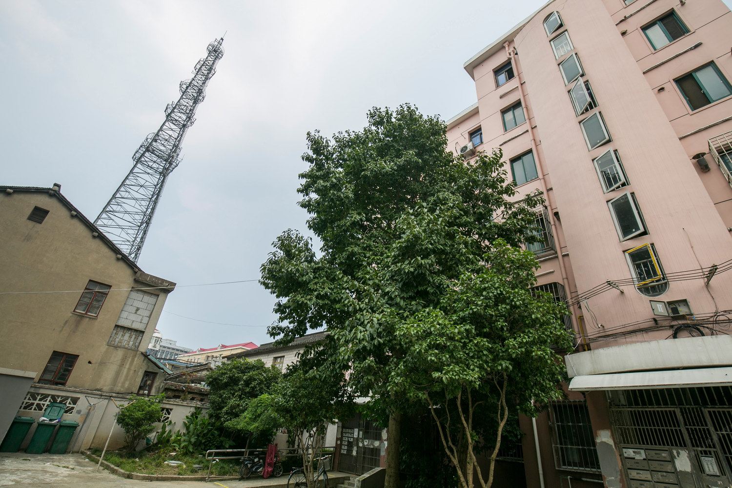 绿洲清新公寓(上海古桐路店)