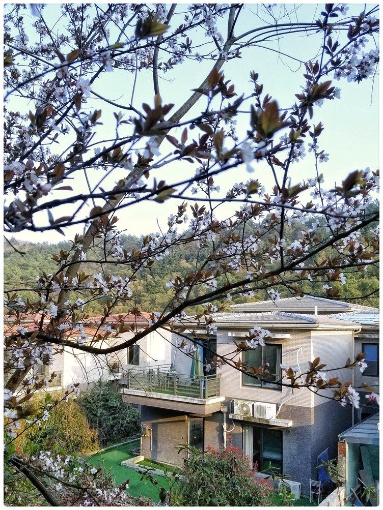 山水别墅体验馆(无锡度假村店)