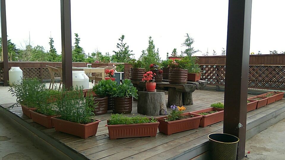 青岛百福花园酒店