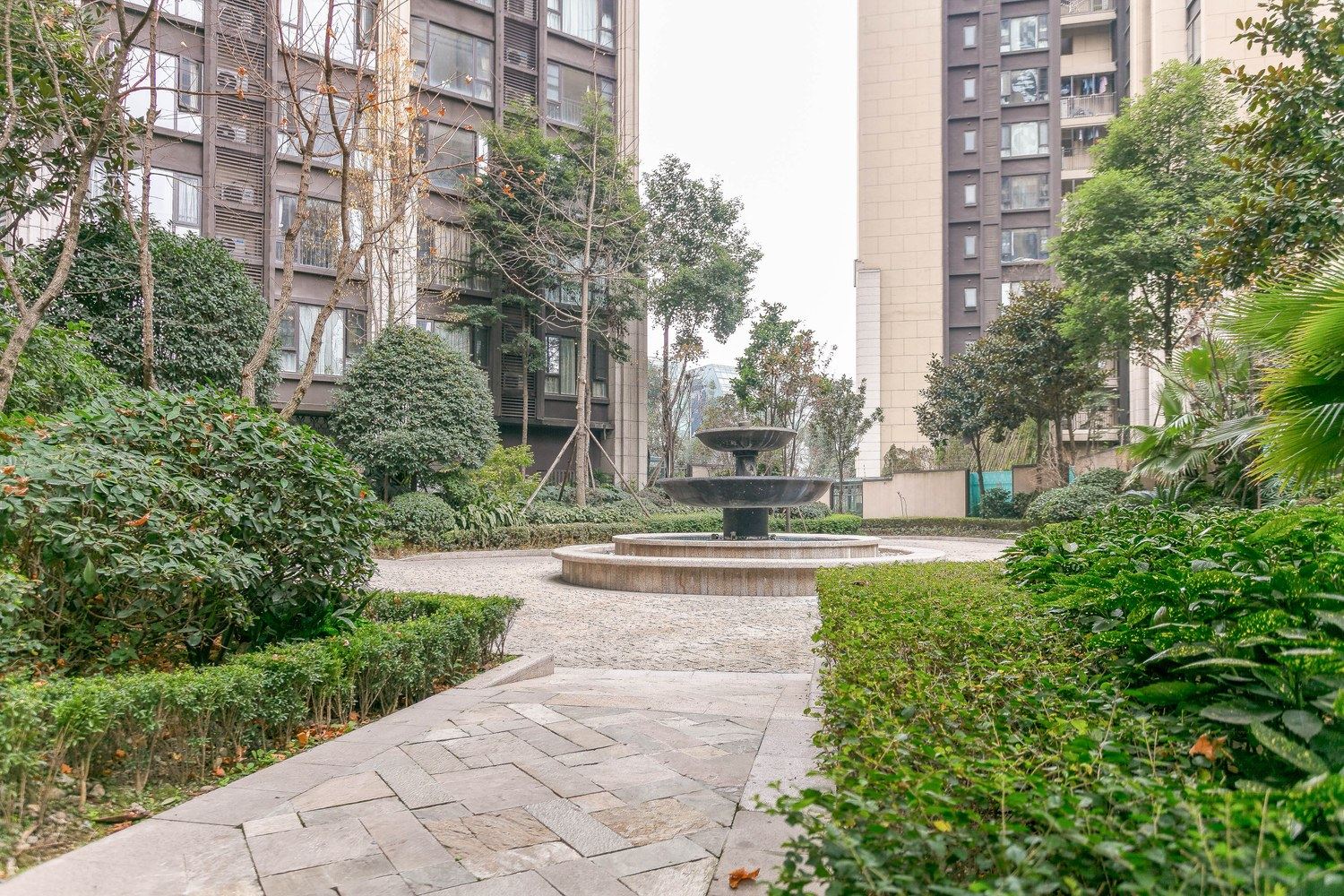 成都Junglehouse公寓(9号店)