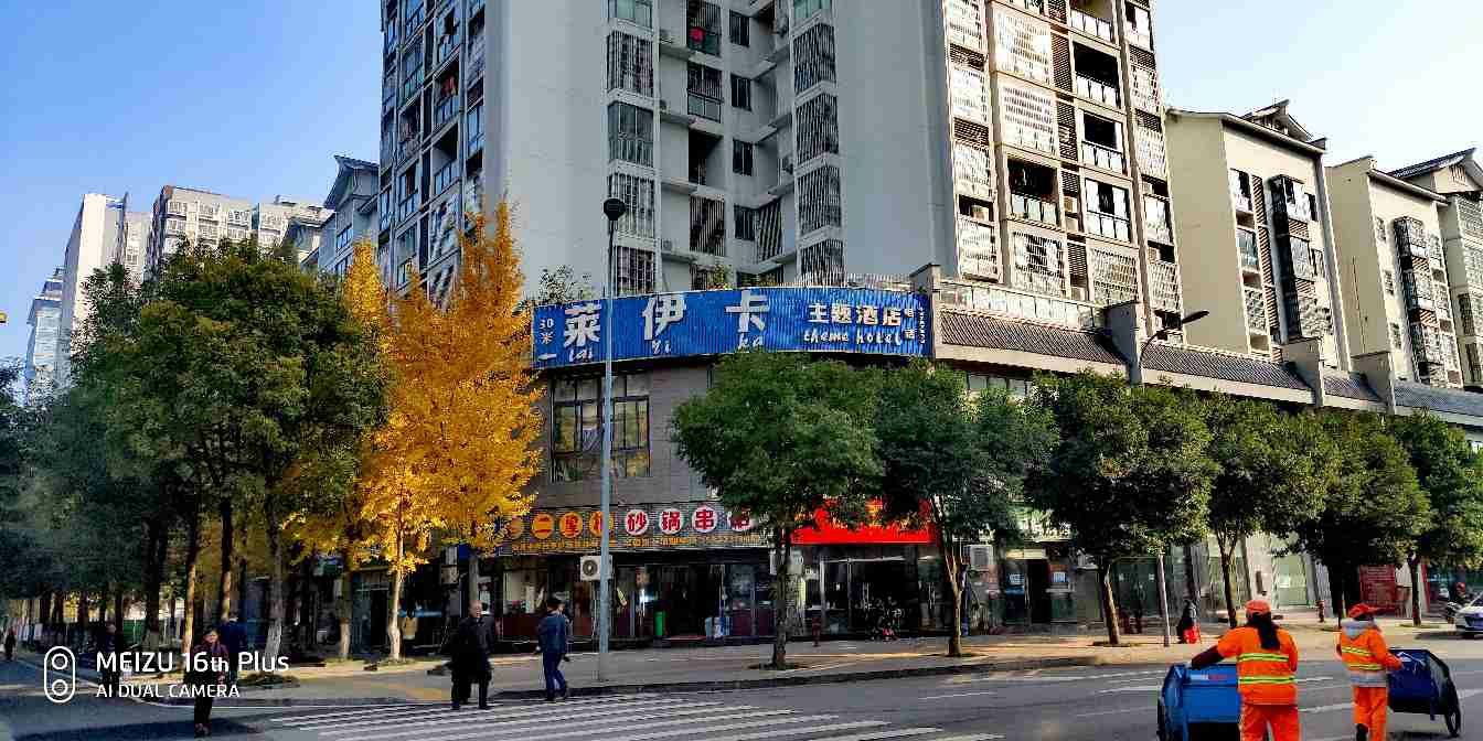 重庆莱伊卡主题酒店