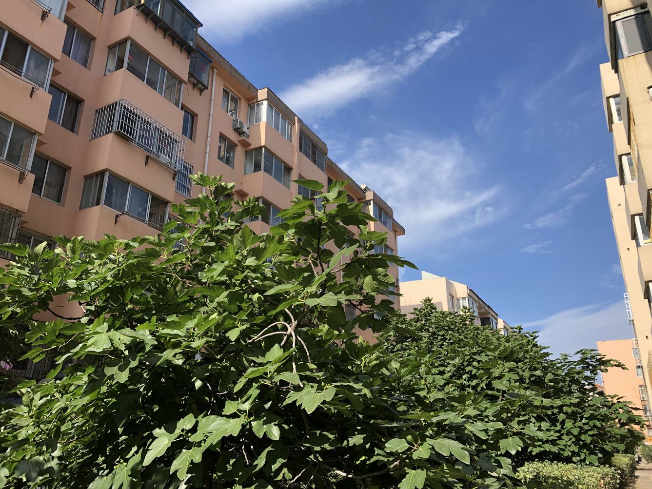 威海柒月的小舍(环海路分店)