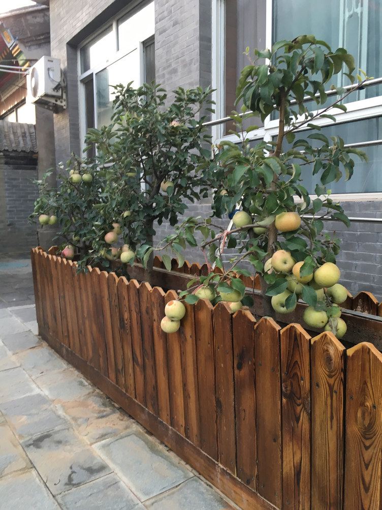 北京红宝石休闲牛排串吧吧主特色民宿