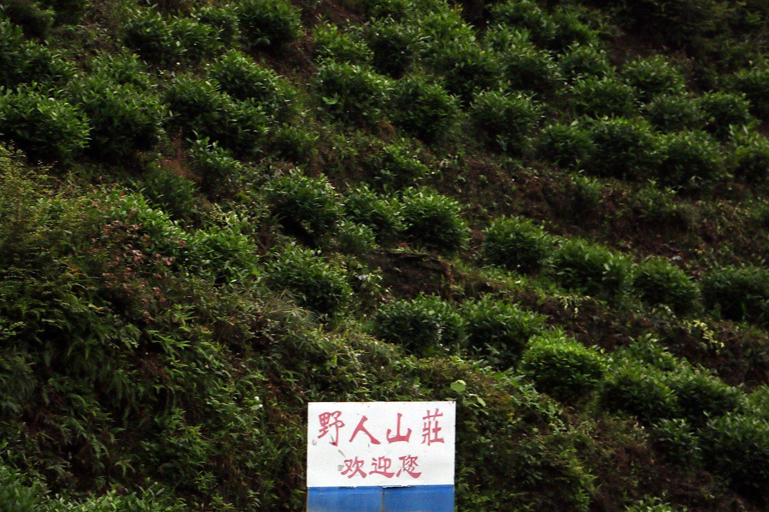 牯牛降野人山庄
