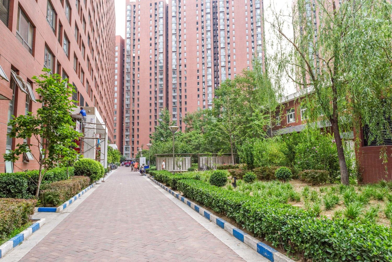 北京鸟巢奥体立水桥南经典舒适一居室普通公寓
