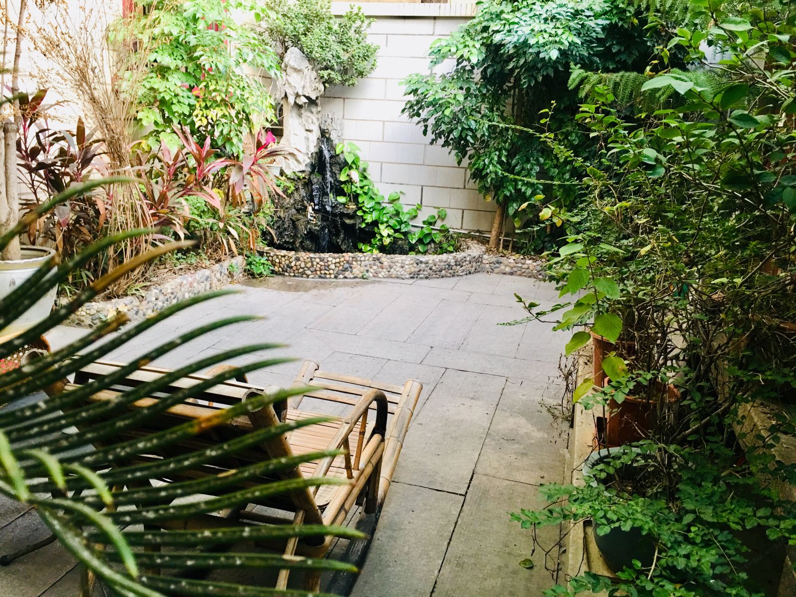 泉州树鹰太空舱客栈