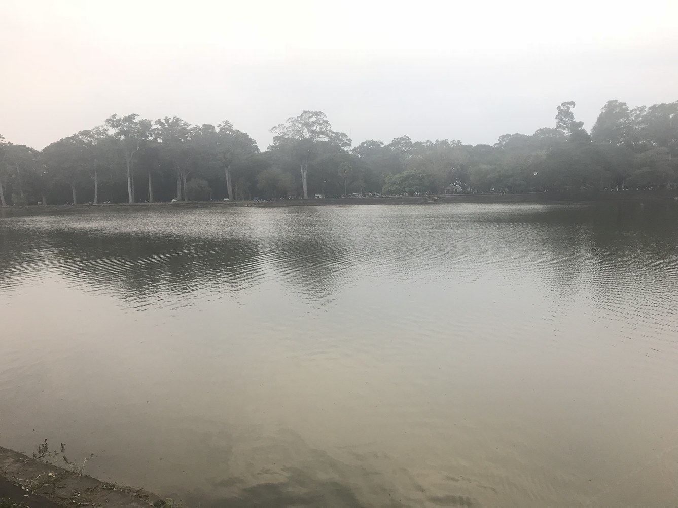 成都Eveline公寓