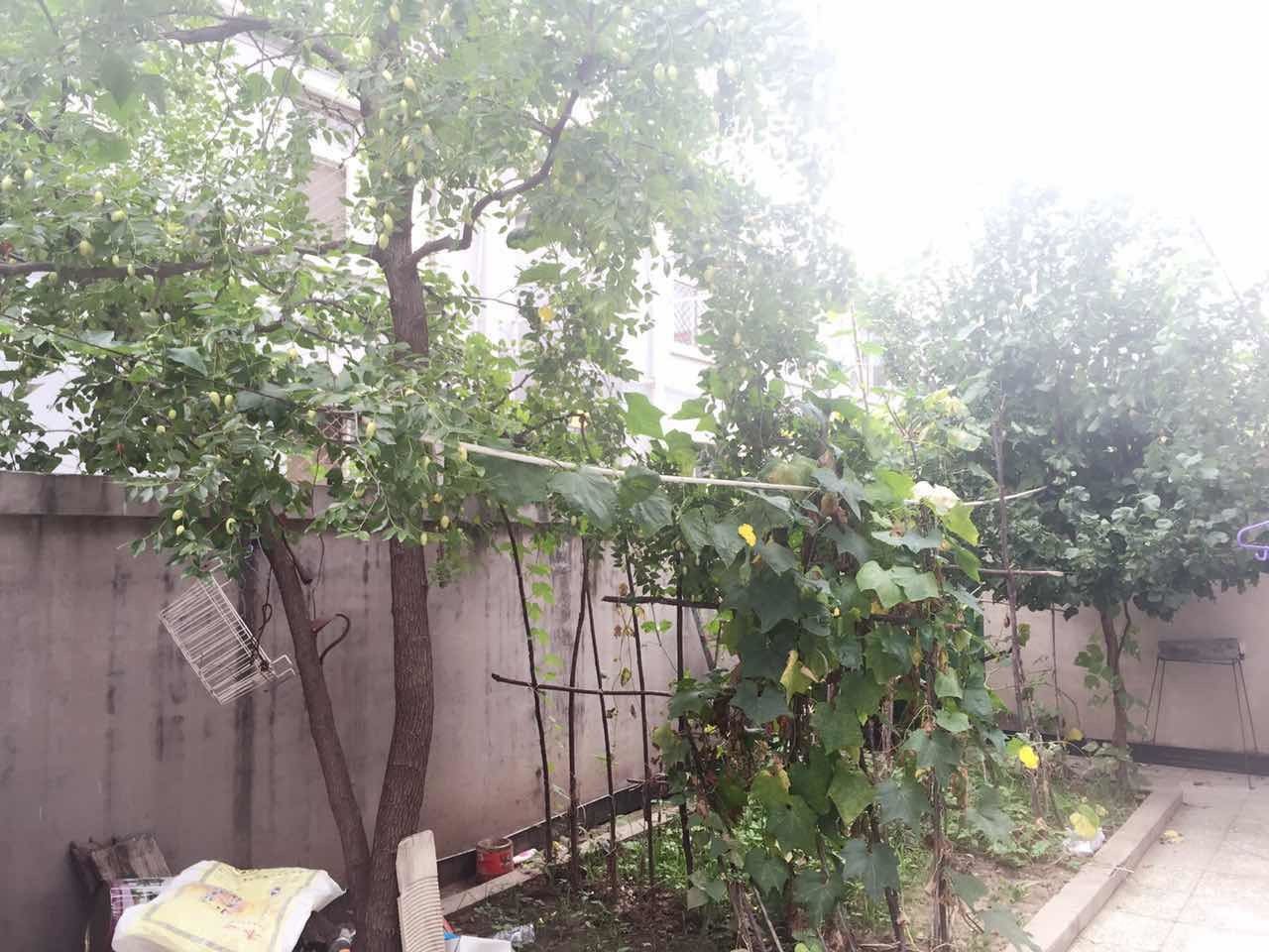 北京冯兰菊客栈