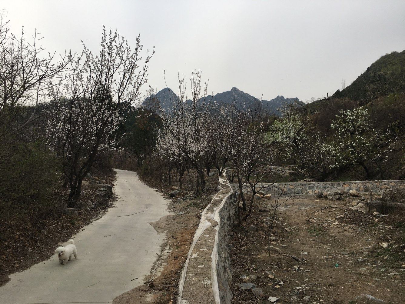 北京茗香小院农家乐