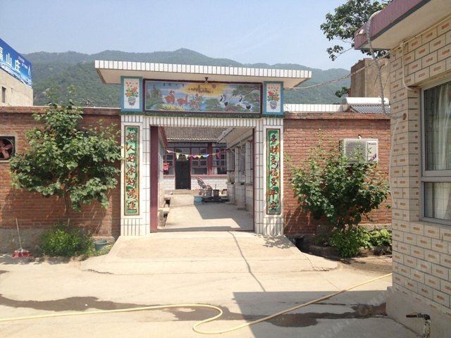 天津卫东农家院