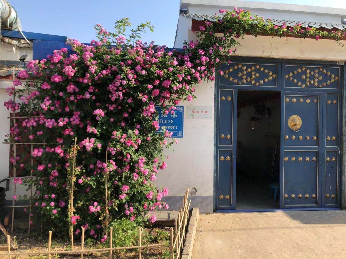 乐亭海边友缘农家院