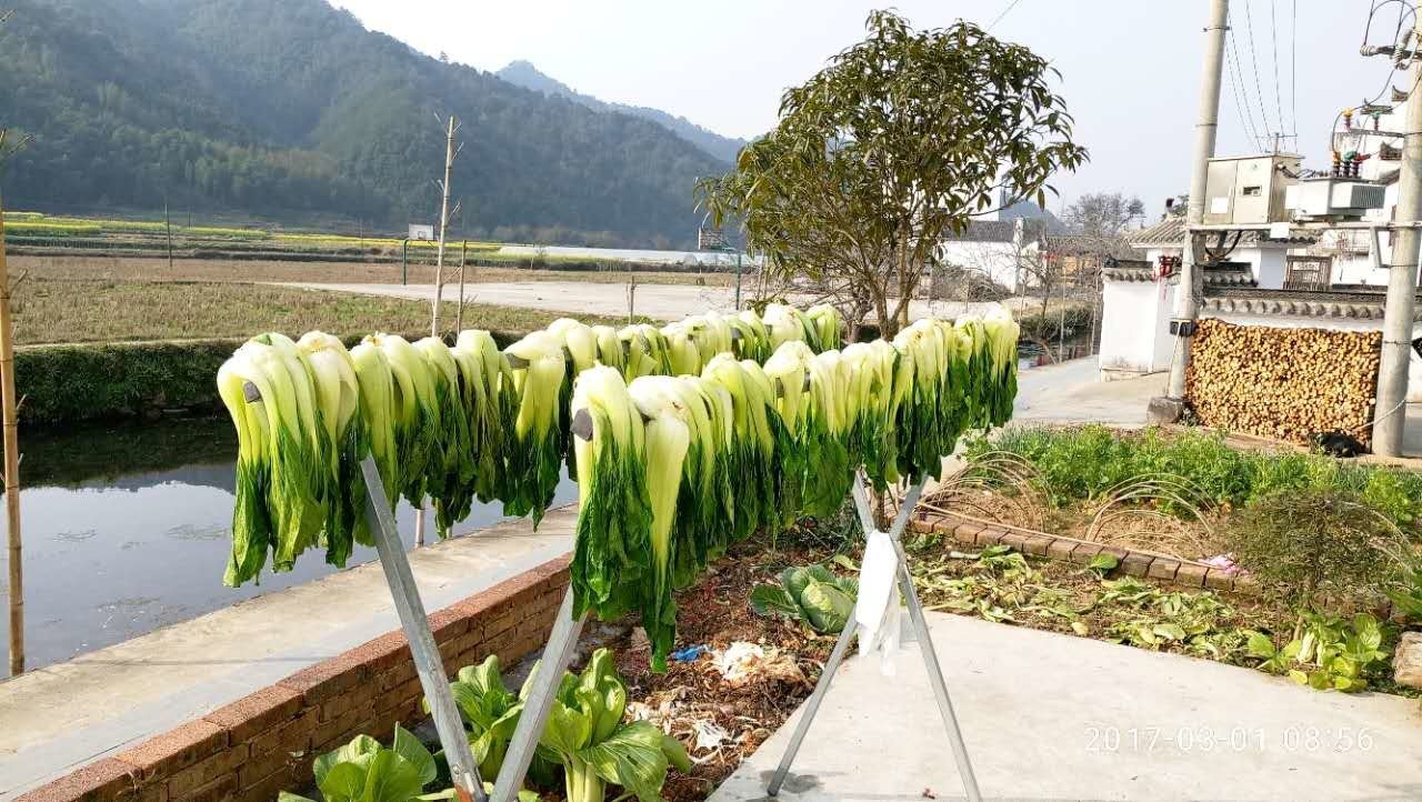 婺源严田客栈