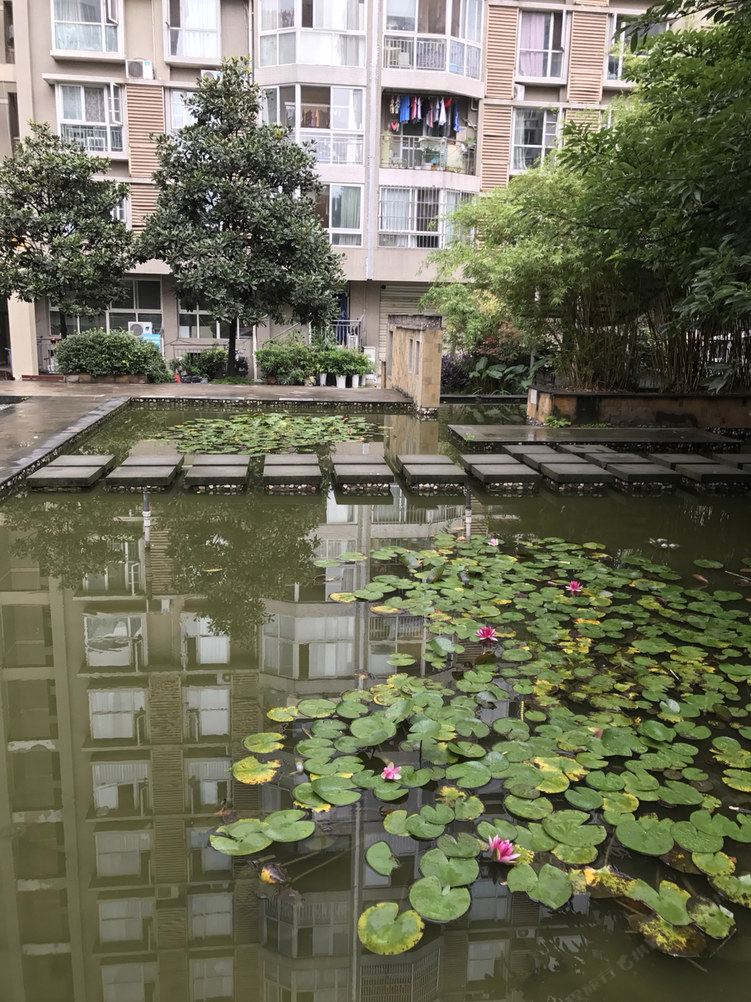 成都似曾相识等您来普通公寓