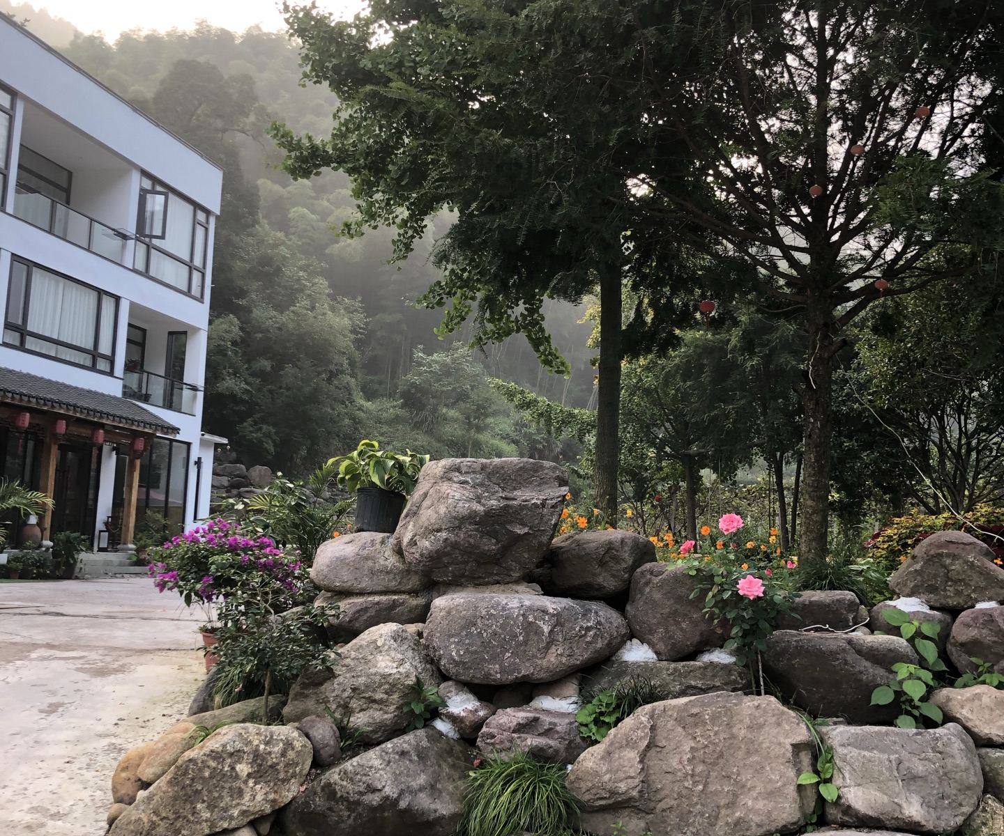 建德乡村画语民宿