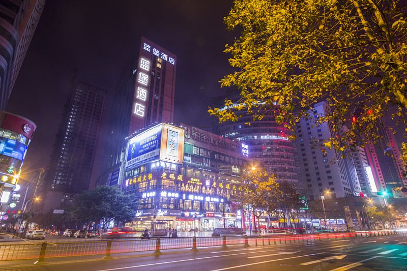 成都蓝堡铂金酒店(宽窄巷子店)