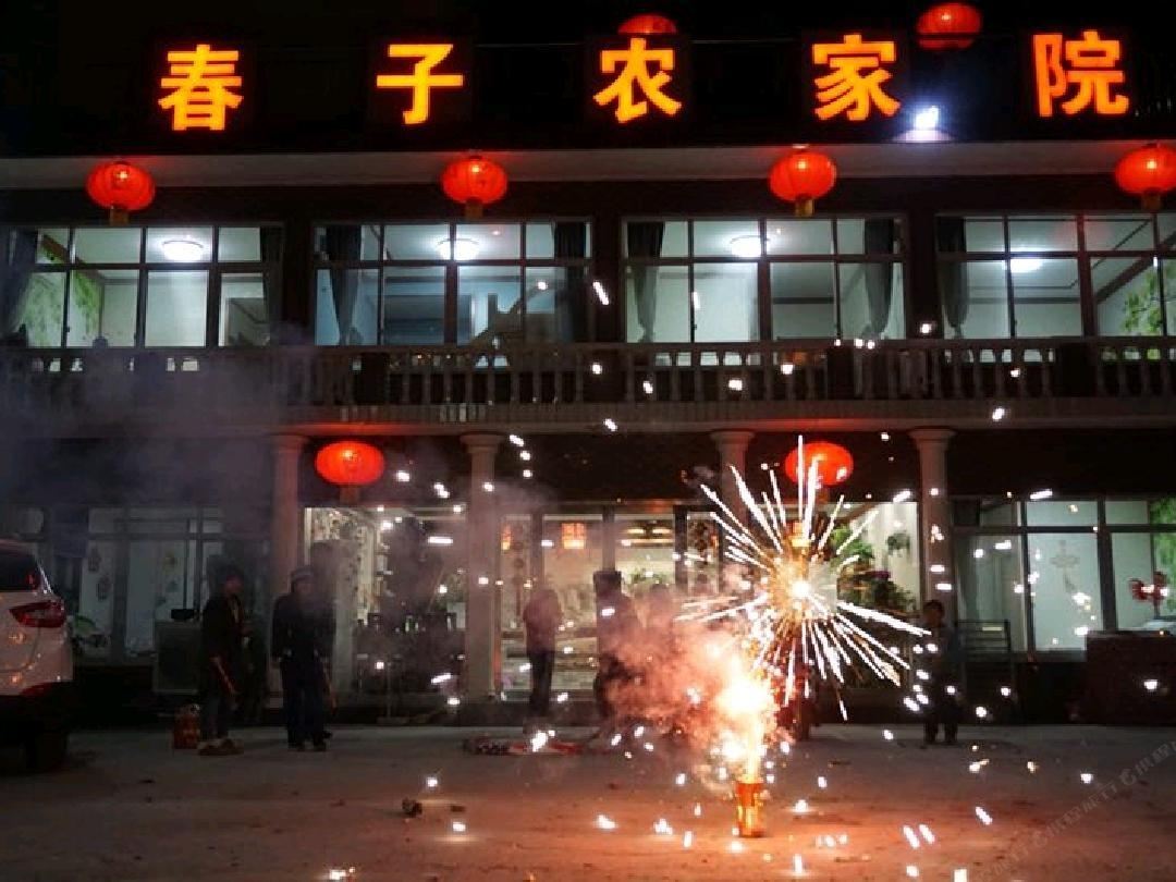天津春子农家院