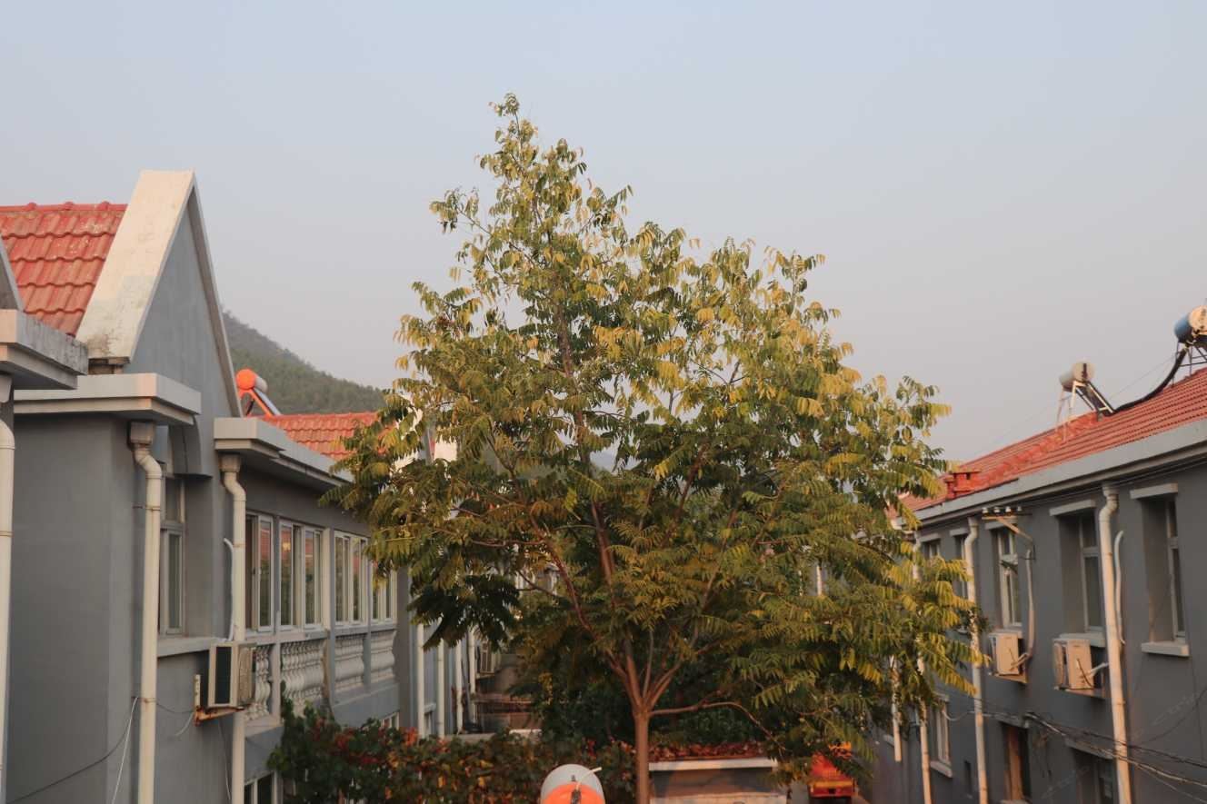 北京潭柘寺农家院