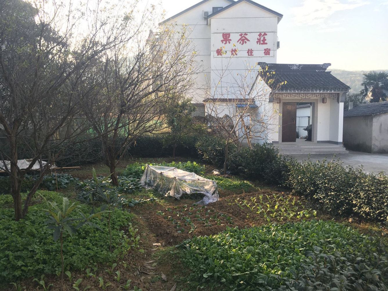 苏州果茶莊农家乐