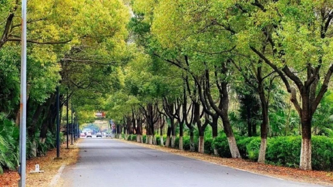 上海来吧农家乐客栈