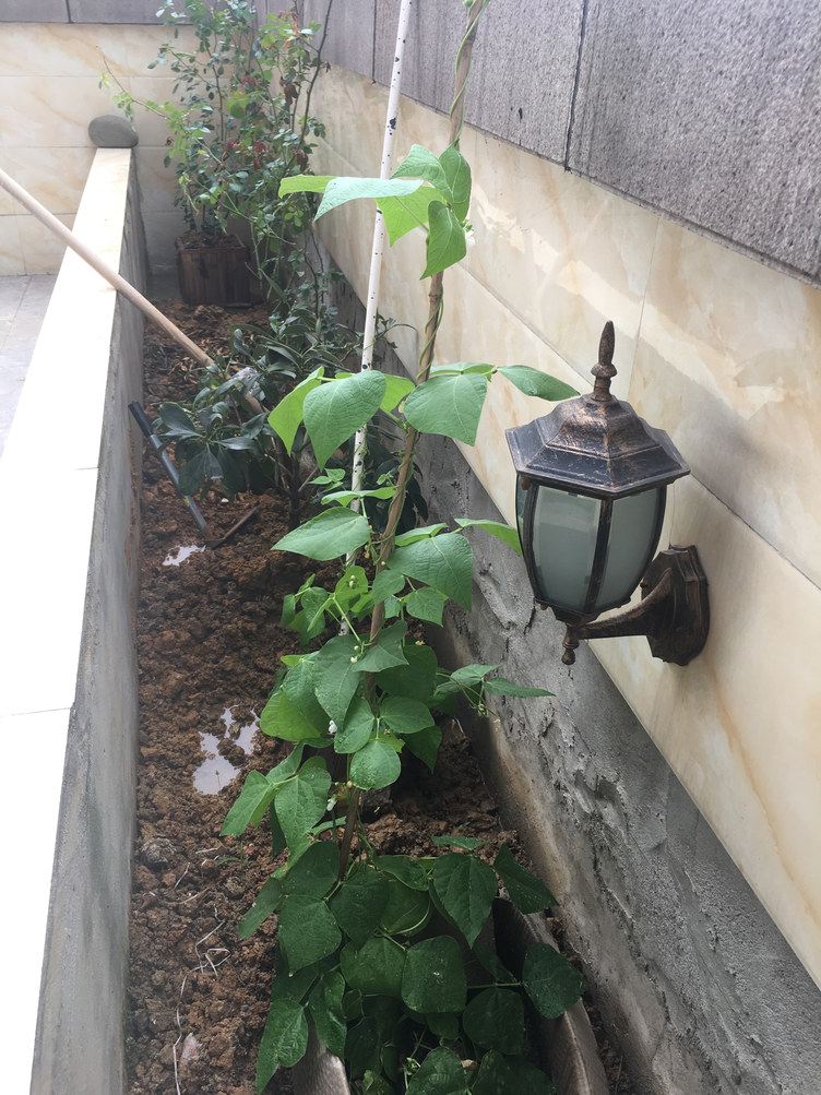 成都花园平台阳光房普通公寓