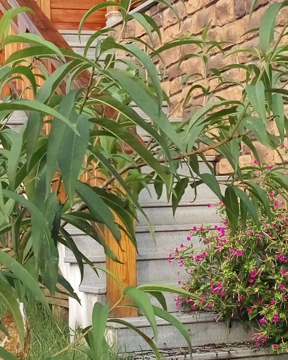 杭州王家别墅