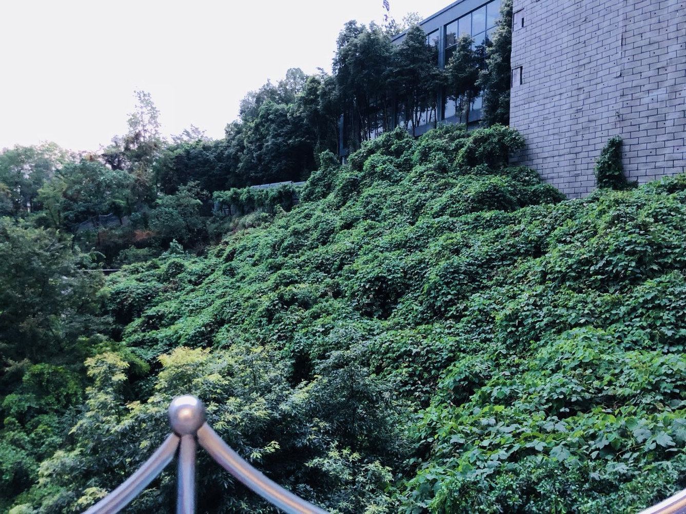 重庆万象城谢家湾轻轨站民宿(4号店)