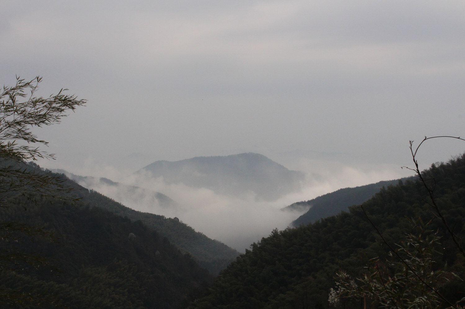 桐庐章管家客栈